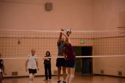 DSC_1849 (Large).JPG